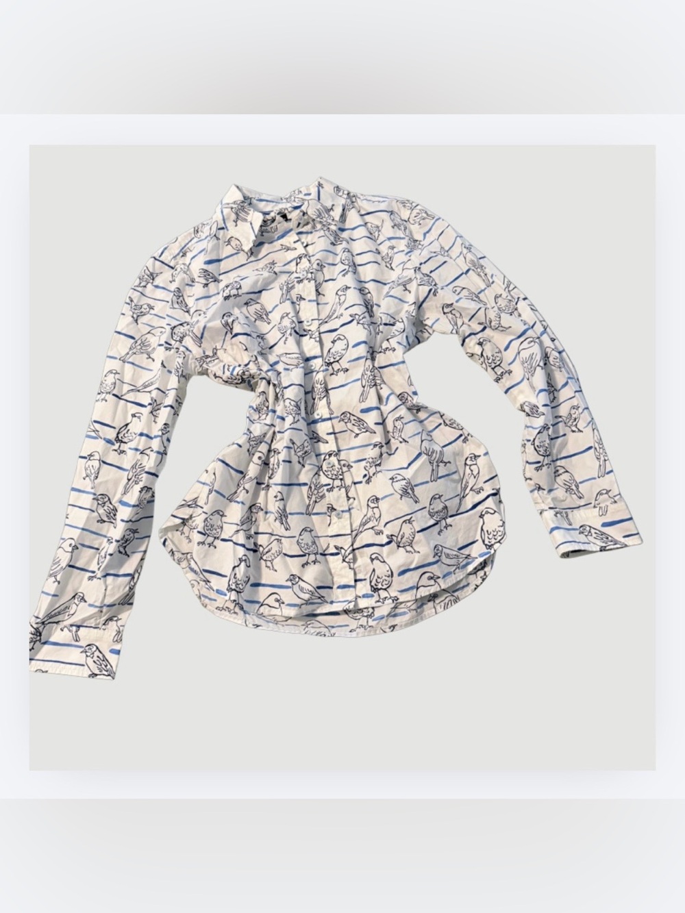 Talbots Cream Blouse with Blue Bird & Stripe Print, Size Large Petite